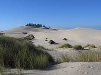 USA Oregon Dunes