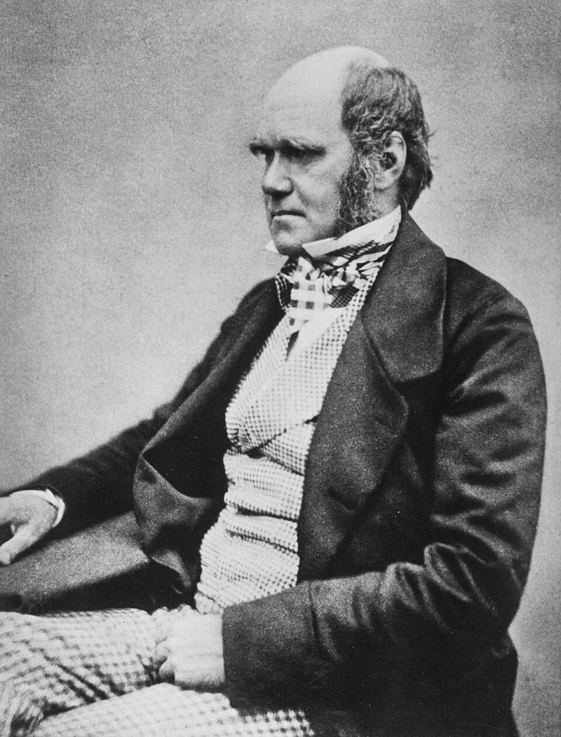 Charles Darwin first publishes his theory of evolution through natural selection
