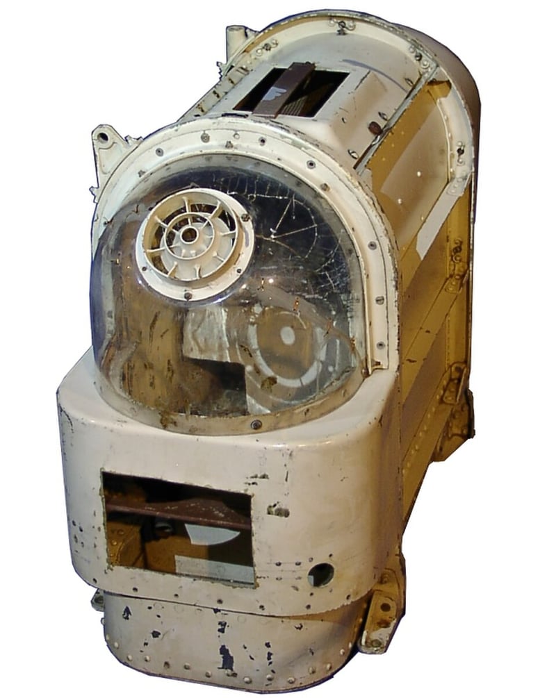 Soviet space dogs: Dezik and Tsygan were launched into a sub-orbital spaceflight