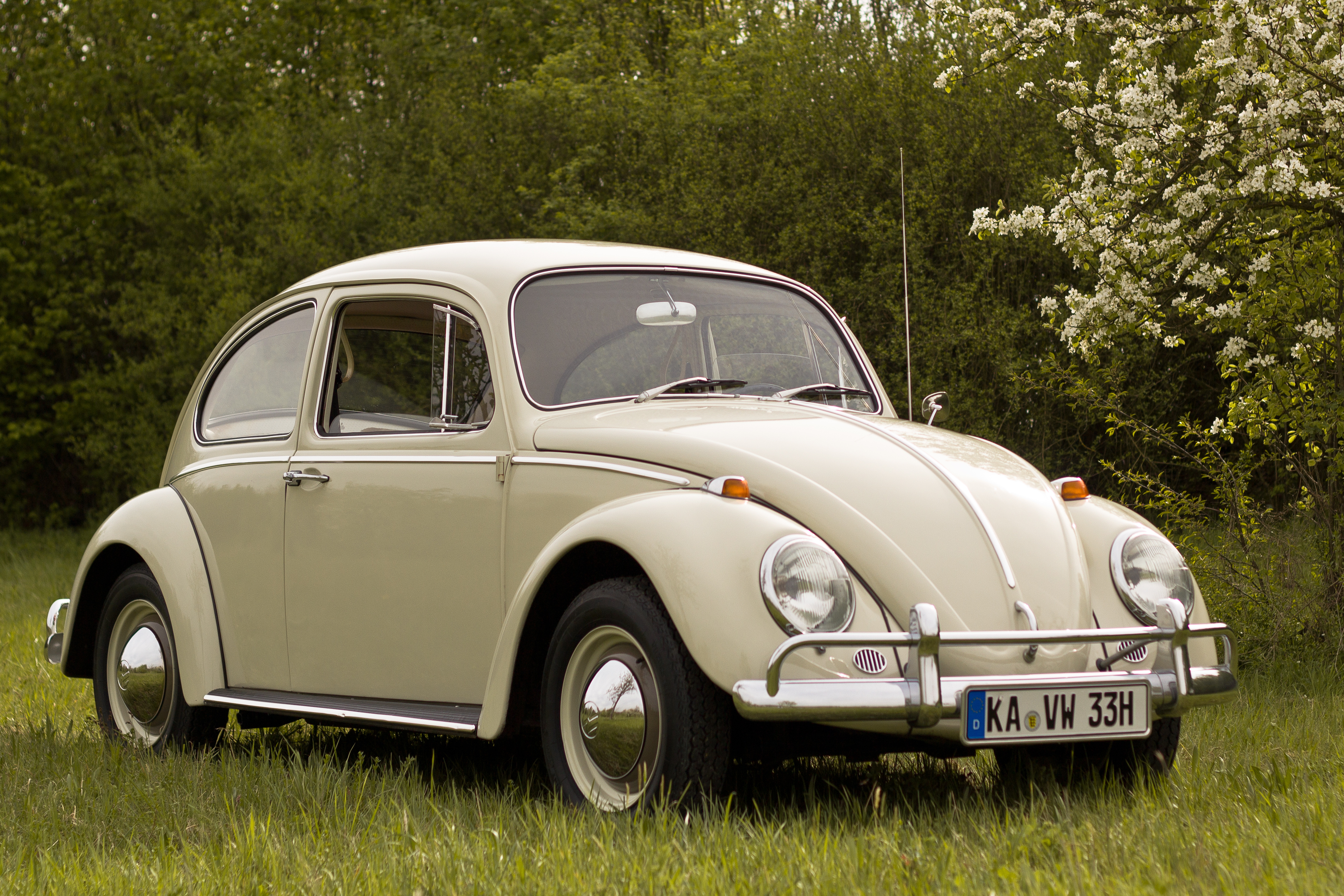The final Volkswagen Beetle rolls off the line in Puebla, Mexico; the last of 5,