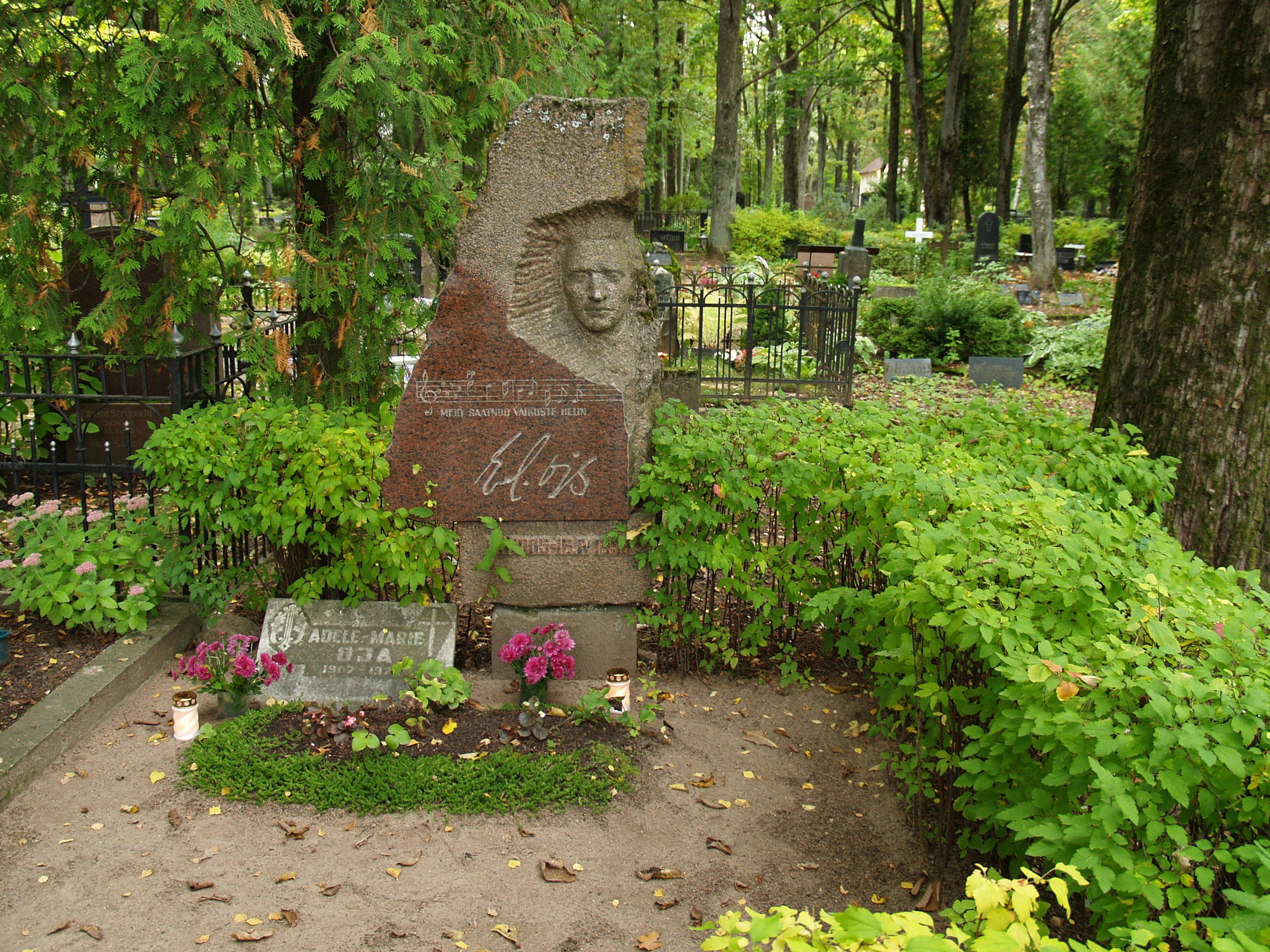 Eduard Oja