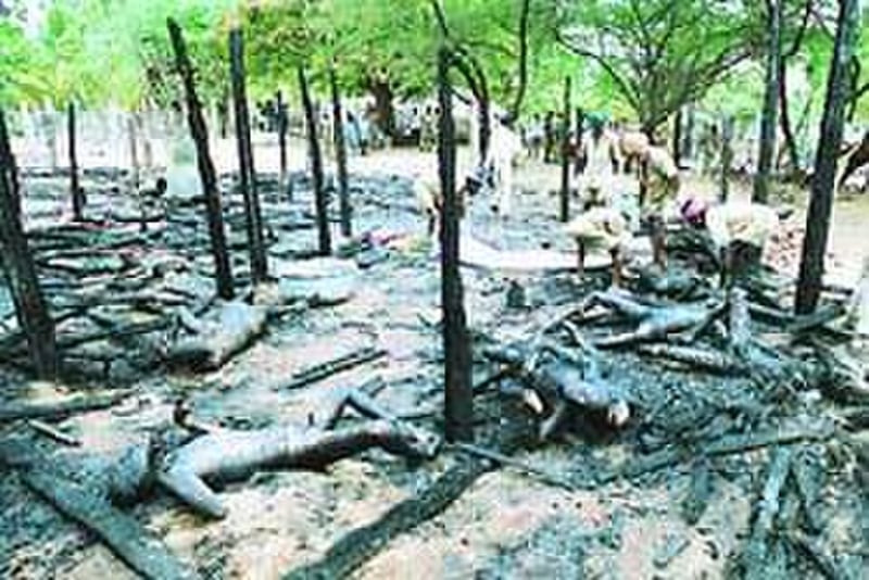 Erwadi fire incident scene
