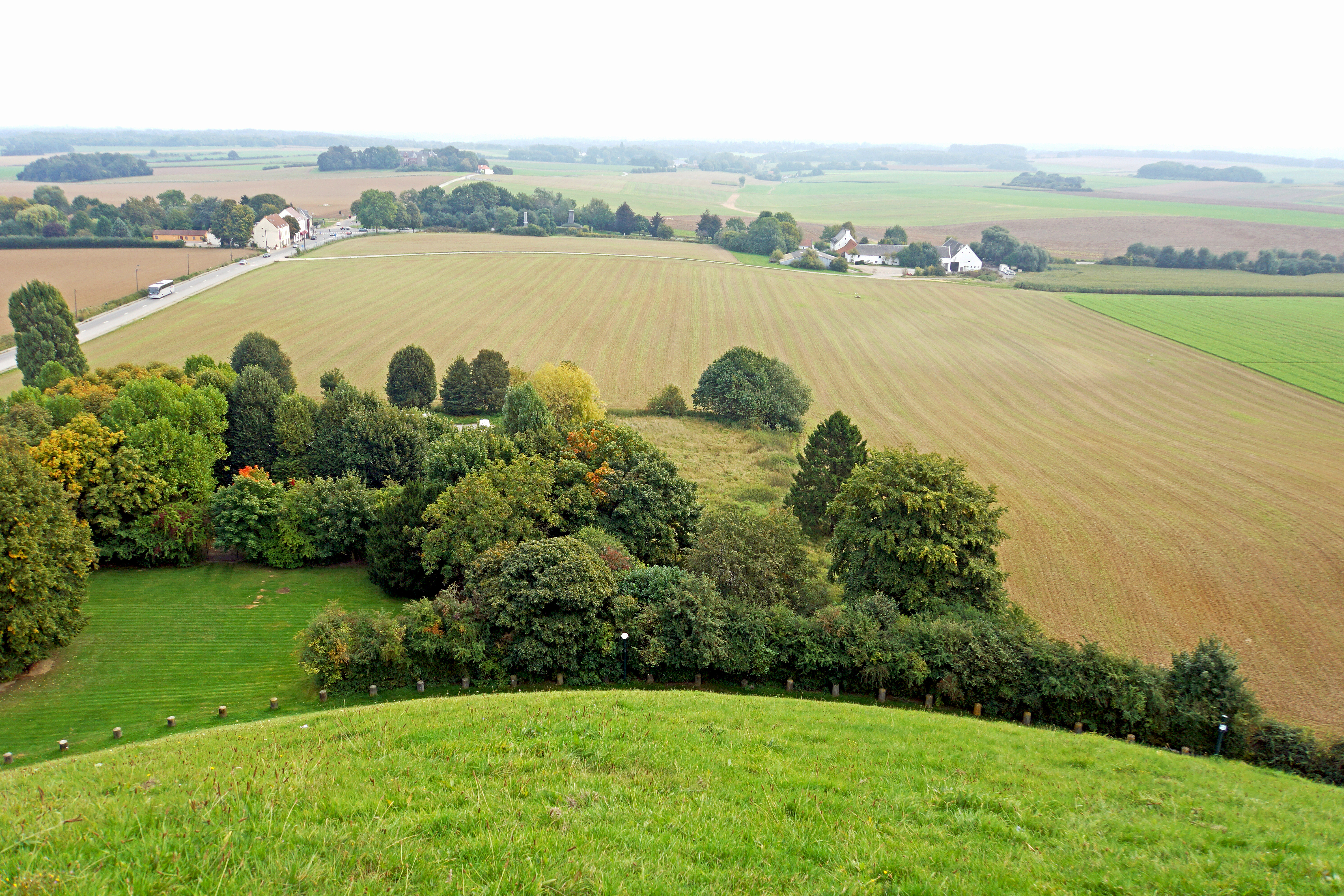 via Wikimedia