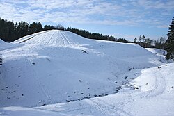 via Wikimedia